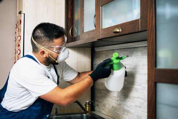 Best Insect Control  in Greenville, IN
