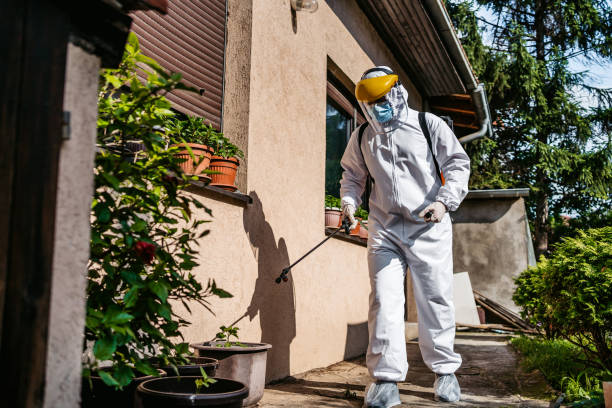 Best Mosquito Control Services  in Greenville, IN