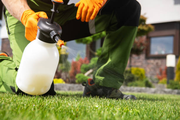 Best Emergency Pest Control  in Greenville, IN