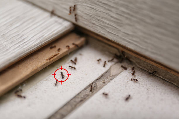 Pest Prevention Services in Greenville, IN