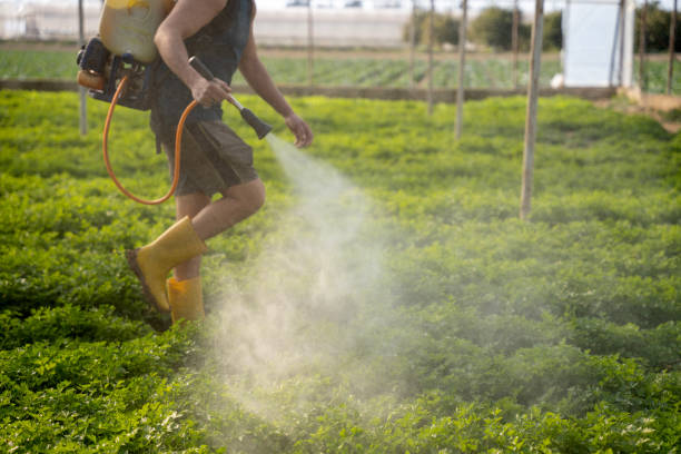 Best Best Pest Control Companies  in Greenville, IN