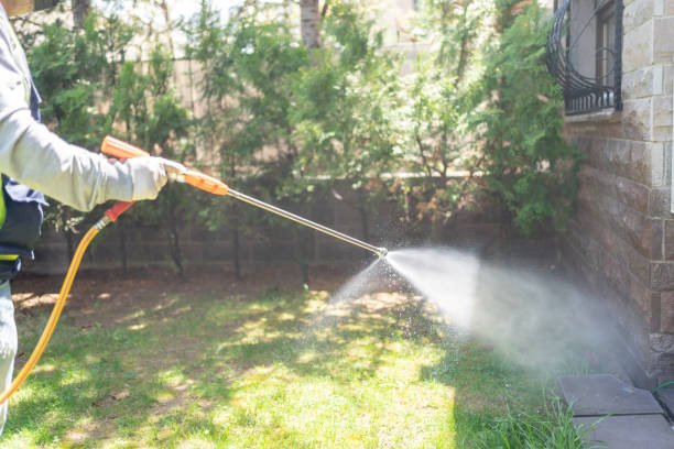 Best Flea Control Services  in Greenville, IN