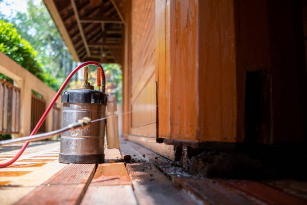 Best Termite Control Services  in Greenville, IN