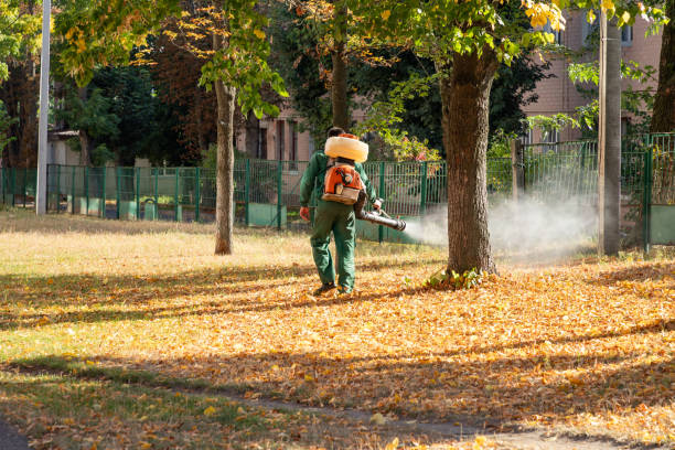 Best Best Pest Control Companies  in Greenville, IN