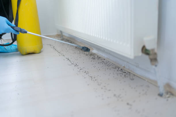 Best Residential Pest Control  in Greenville, IN