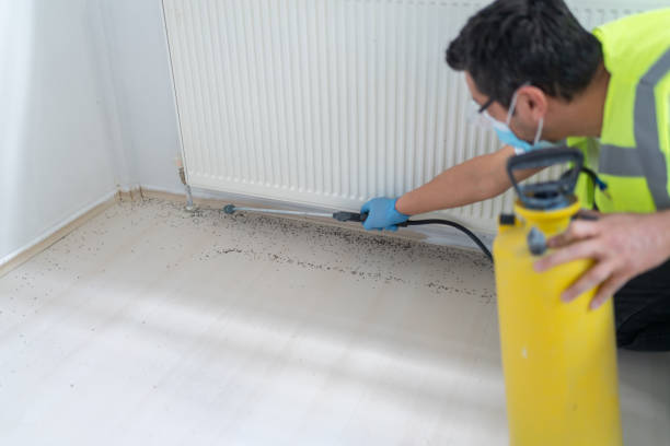 Wasp Removal Services in Greenville, IN