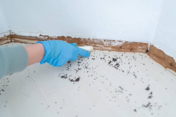 Best Affordable Pest Control Services  in Greenville, IN